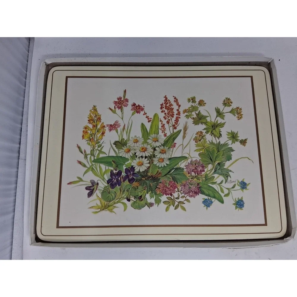 Pimpernel Placemats Meadow Flowers Illustrated by H Bond Set of 4 Cork  Vtg H